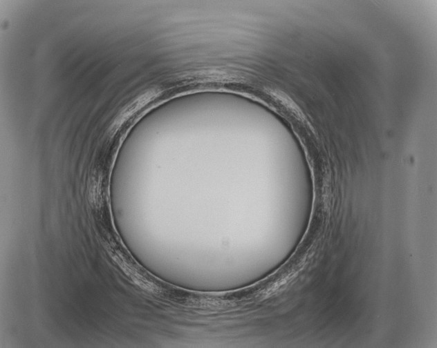 X0000085210873200703231504