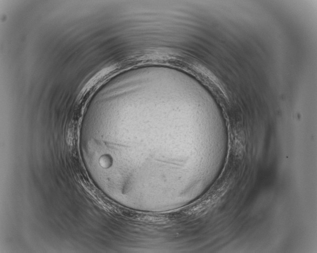 X0000085210874200703231504