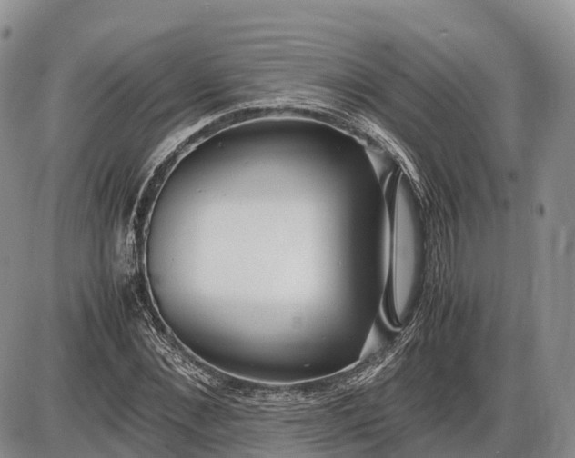 X0000085210876200703231504