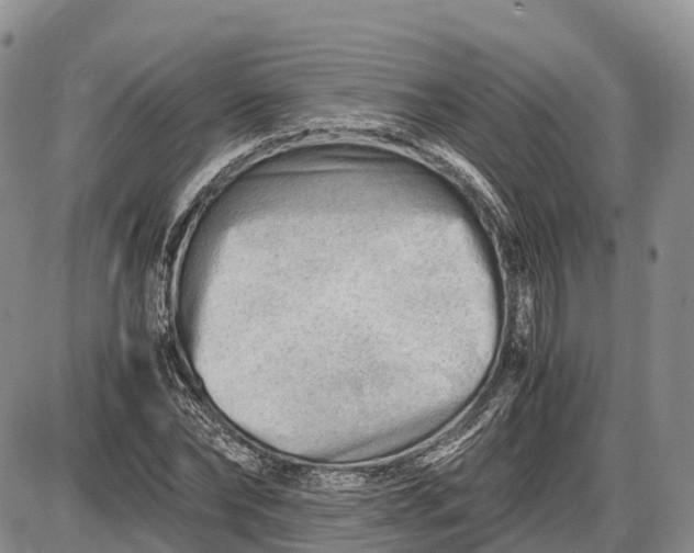 X0000085210878200703231504