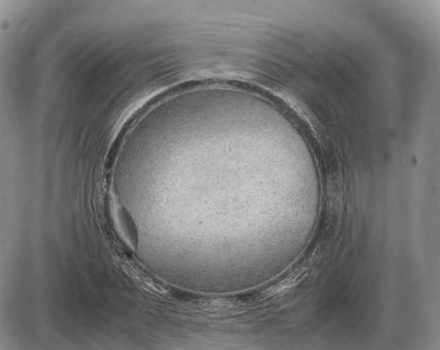 X0000085210879200703231504