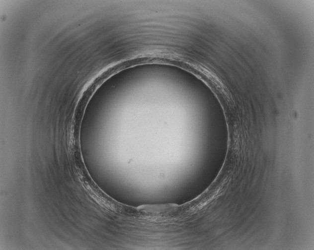 X0000085210880200703231504