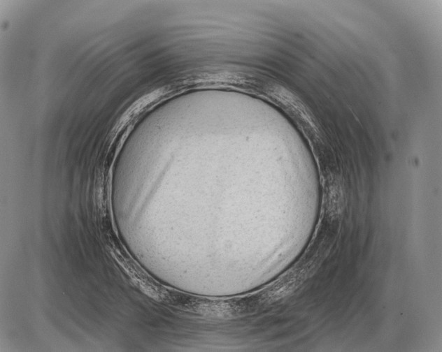 X0000085210882200703231504