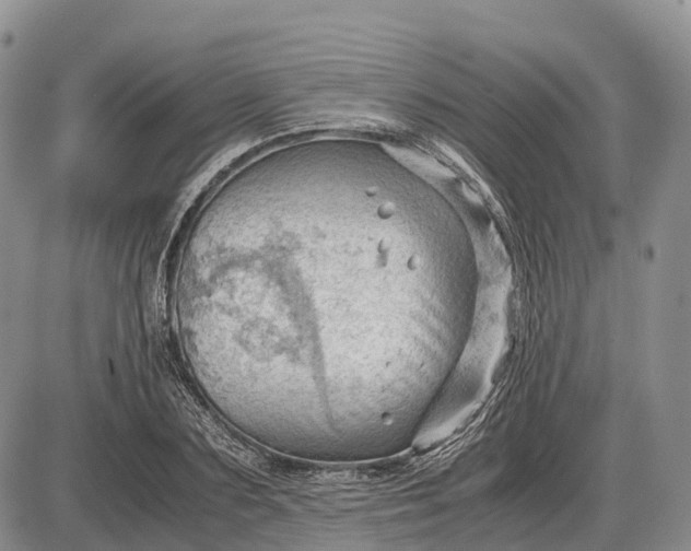 X0000085210883200703231504