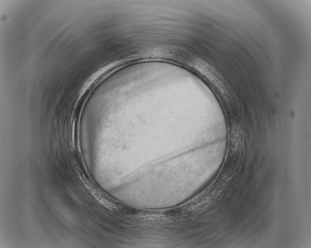 X0000085210886200703231504