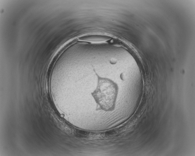 X0000085210887200703231504