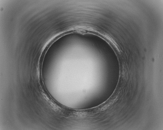 X0000085210888200703231504