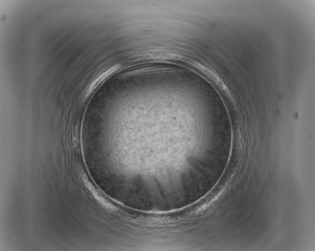 X0000085210889200703231504