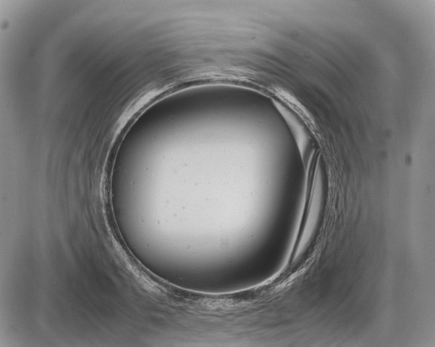 X0000085210893200703231504