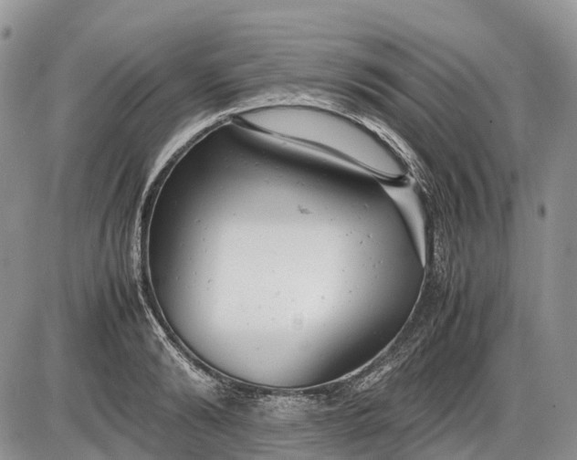 X0000085210894200703231504