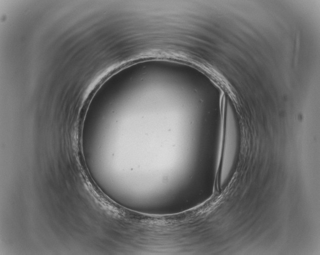 X0000085210896200703231504