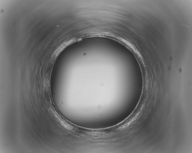 X0000085210897200703231504