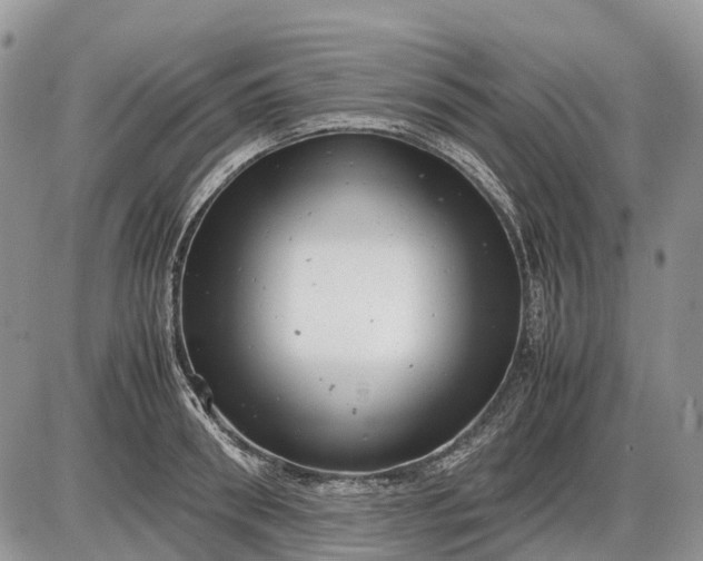 X0000085210898200703231504