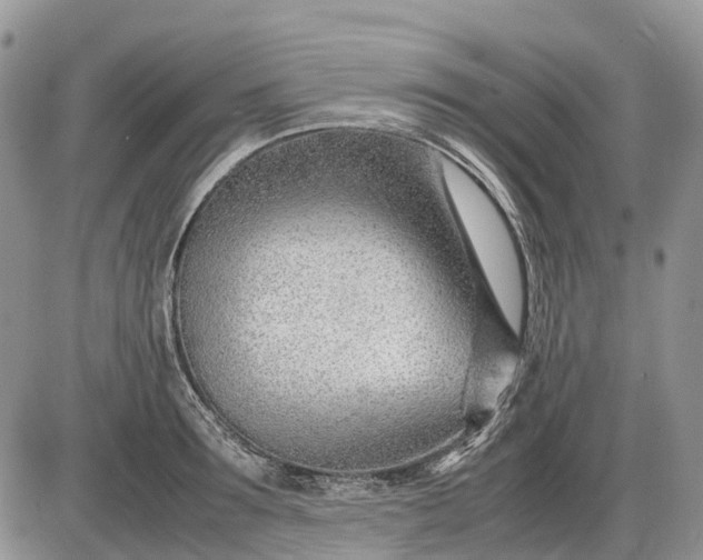 X0000085210899200703231504