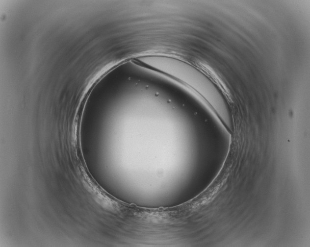 X0000085210900200703231504