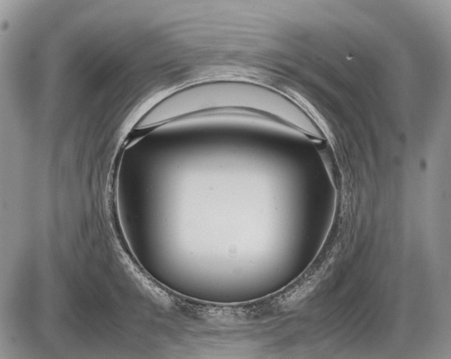 X0000085210901200703231504