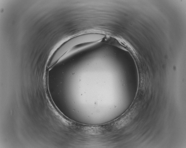 X0000085210902200703231504