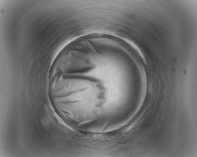 X0000085210903200703231504