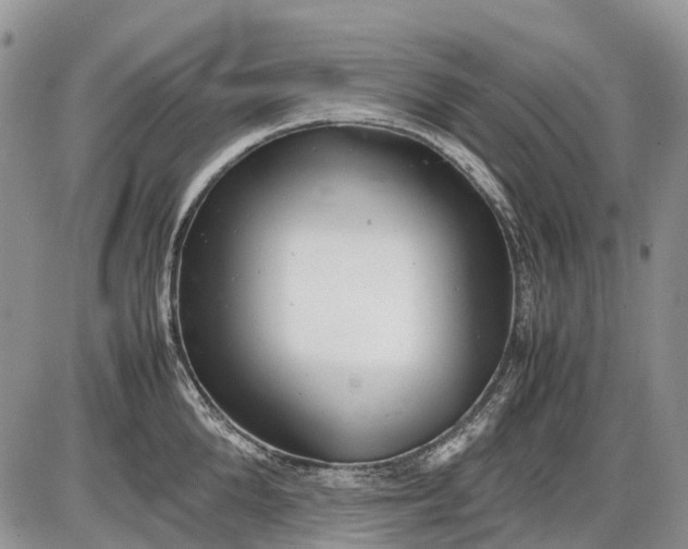 X0000085210904200703231504