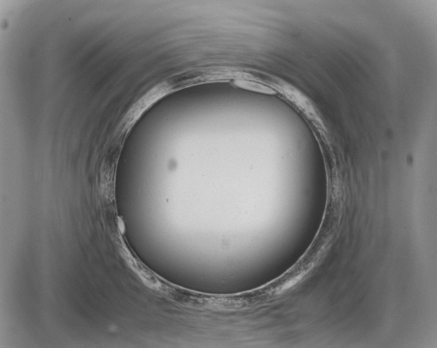 X0000085210905200703231504