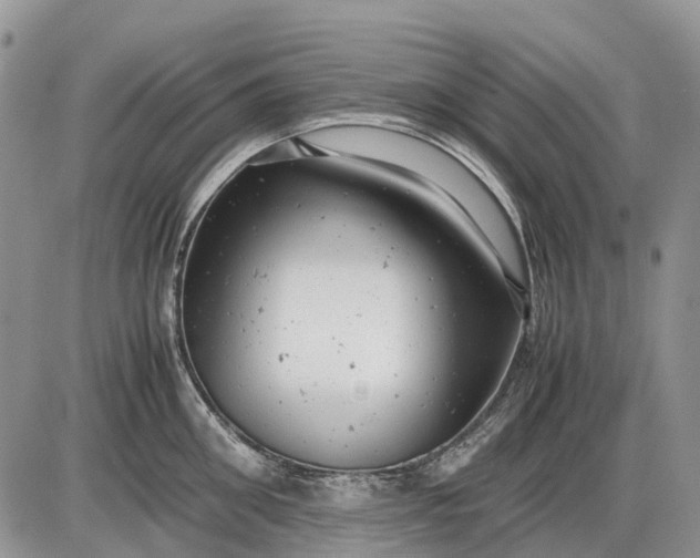 X0000085210906200703231504