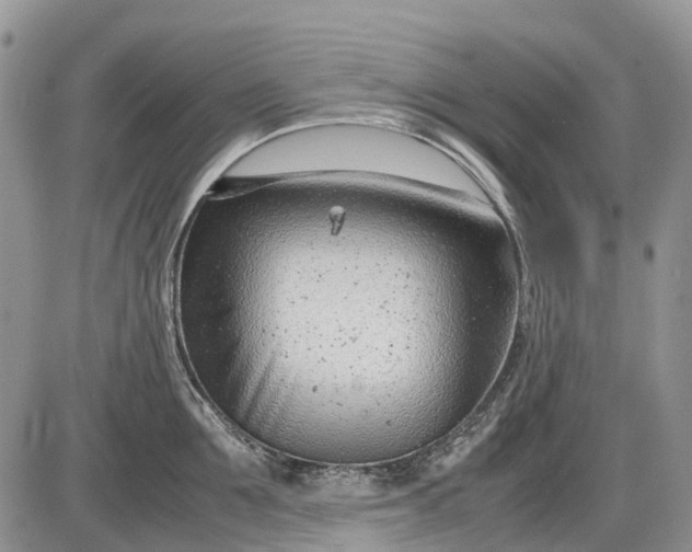 X0000085210907200703231504