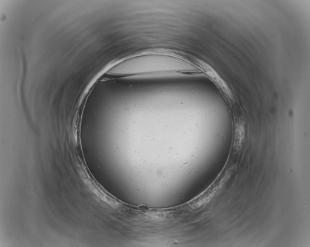 X0000085210908200703231504