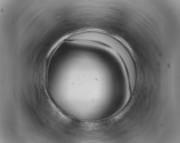 X0000085210910200703231504