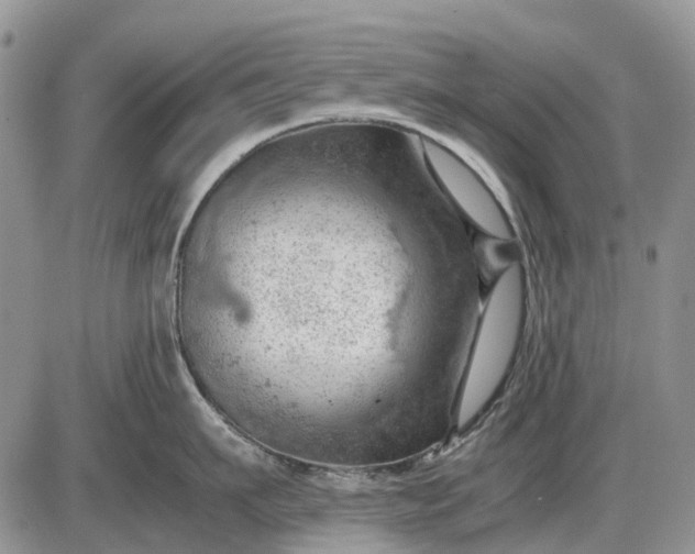 X0000085210911200703231504