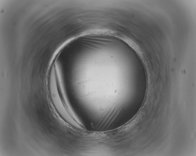 X0000085210912200703231504