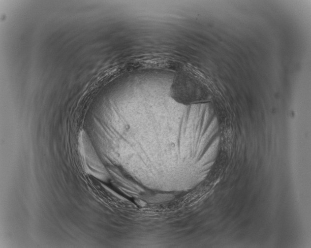 X0000085210913200703231503