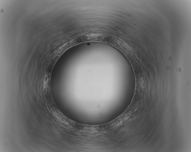 X0000085210914200703231503