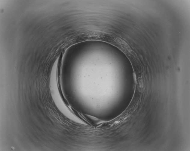 X0000085210916200703231503