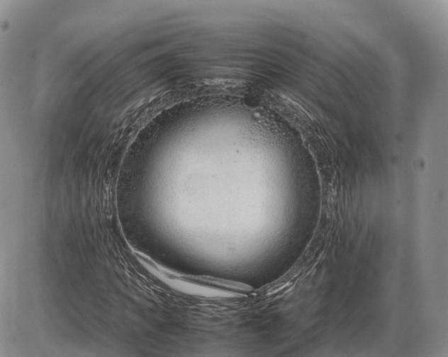 X0000085210917200703231503