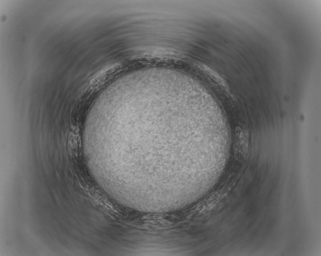 X0000085210918200703231503