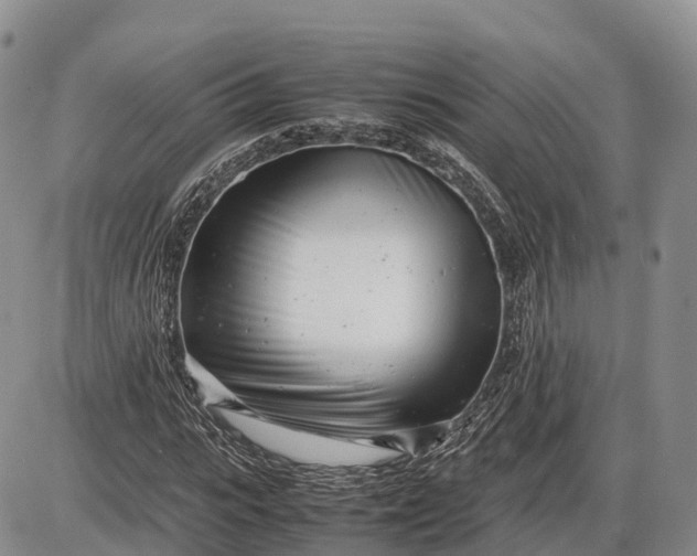 X0000085210919200703231503