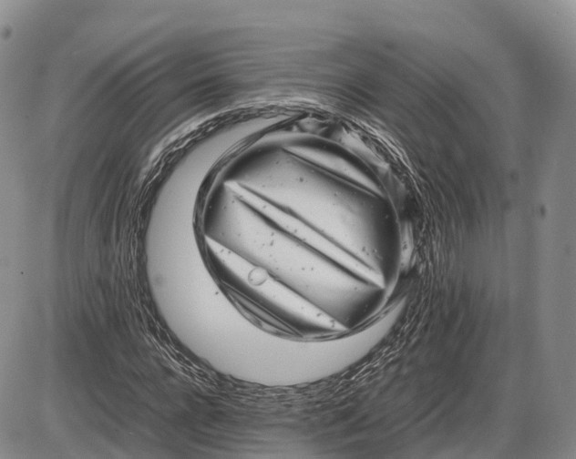 X0000085210920200703231503