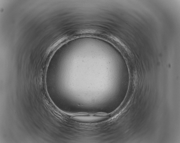 X0000085210921200703231503