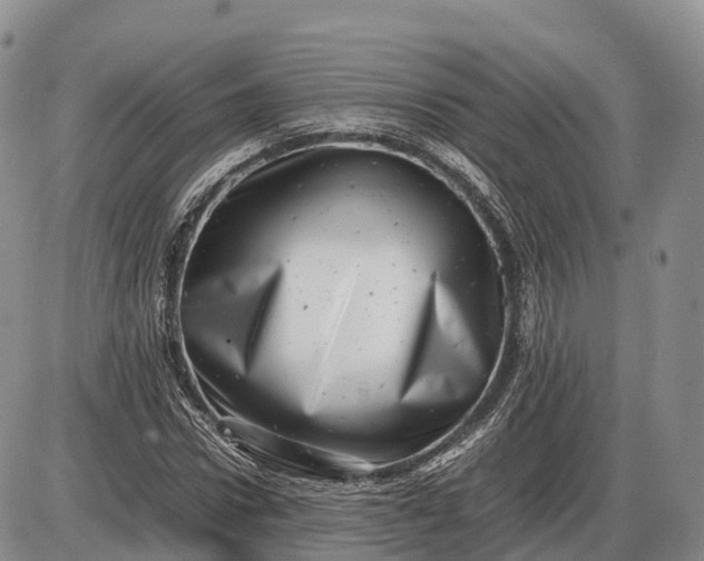 X0000085210922200703231503