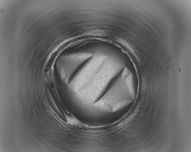 X0000085210923200703231503