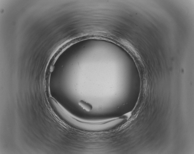 X0000085210924200703231503