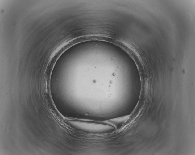 X0000085210925200703231503