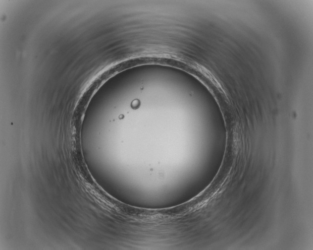 X0000085210926200703231503