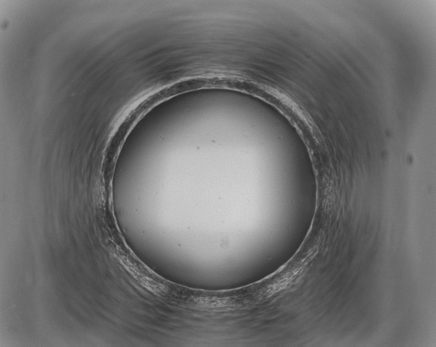 X0000085210927200703231503