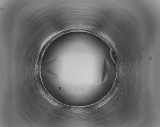 X0000085210928200703231503