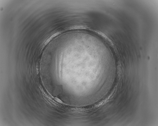 X0000085210929200703231503