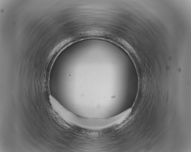 X0000085210930200703231503