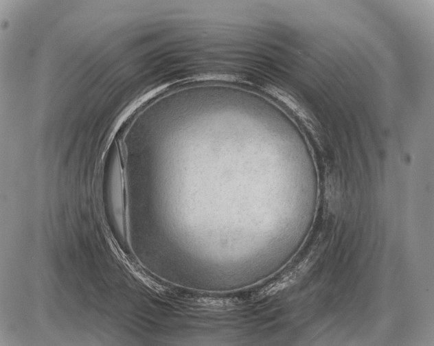 X0000085210933200703231503