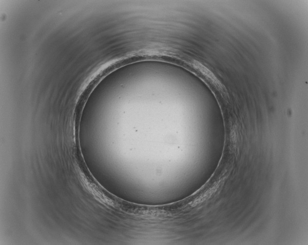 X0000085210934200703231503