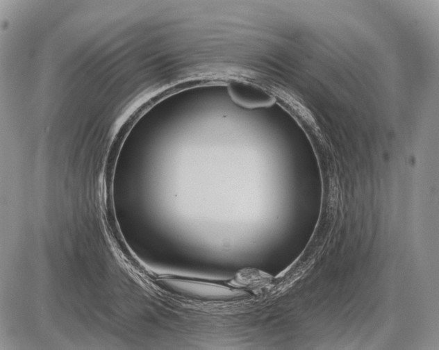 X0000085210936200703231503